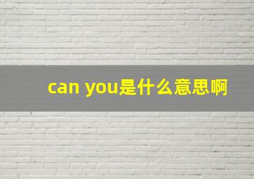 can you是什么意思啊